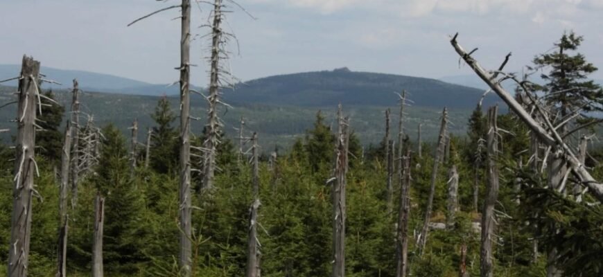 Кислотные дожди: причины, последствия и как с ними бороться