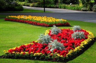 Клумба: что это такое и как создать цветущий уголок в саду?