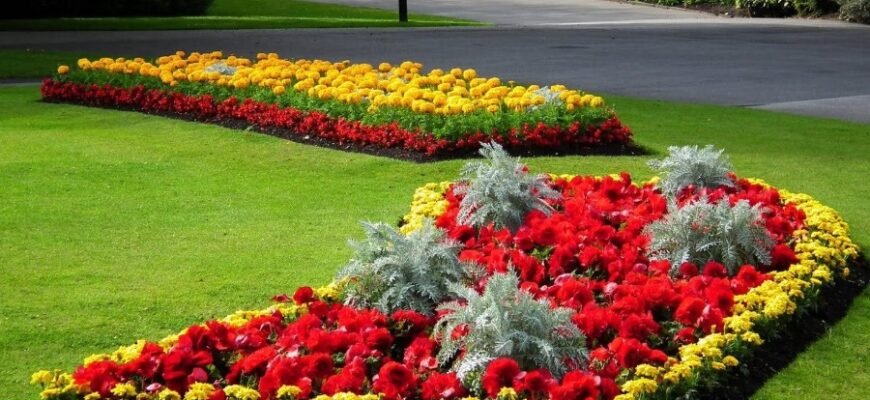 Клумба: что это такое и как создать цветущий уголок в саду?