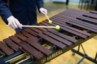 Что такое ксилофон: история, устройство и использование инструмента