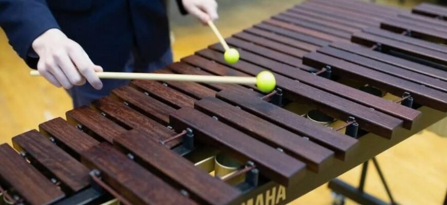 Что такое ксилофон: история, устройство и использование инструмента