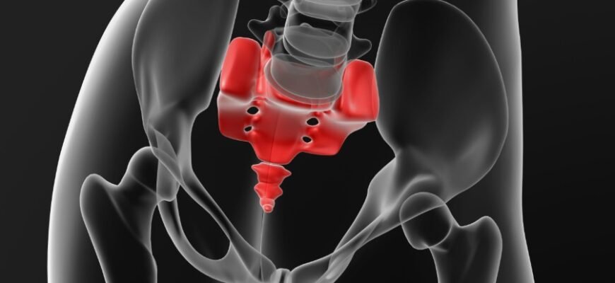 Что такое копчик: функции, строение и возможные проблемы