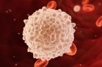 Что такое лейкоциты и как они защищают наш организм от болезней?