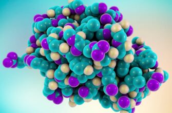 Лизоцим: важный фермент в борьбе с бактериями и вирусами