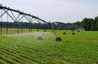 Мелиорация земель: что это такое и зачем нужна для урожайности?