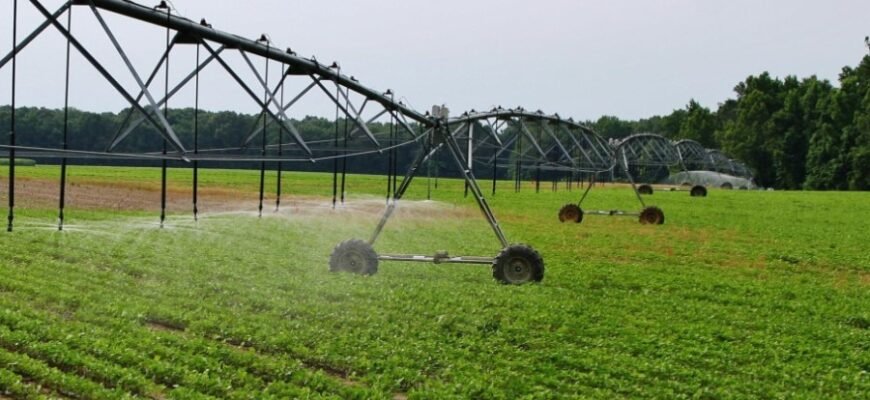 Мелиорация земель: что это такое и зачем нужна для урожайности?