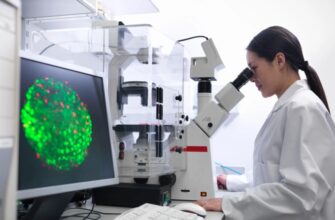 Что такое микроскопия: основы и применение в исследовании