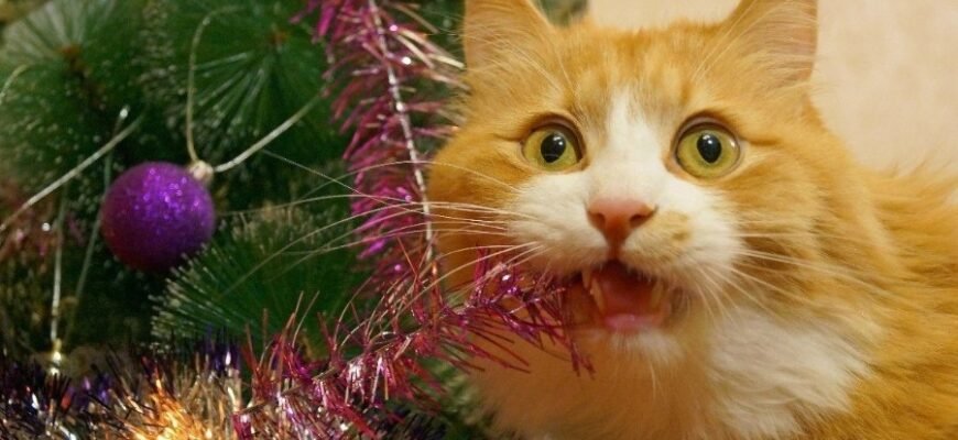 Всё о мишуре: назначение, виды и как выбрать лучшую для праздника