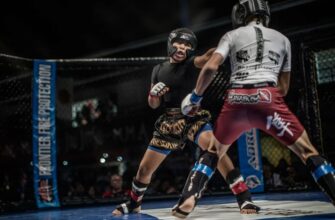 ММА: Что это такое и почему смешанные единоборства завоевали мир