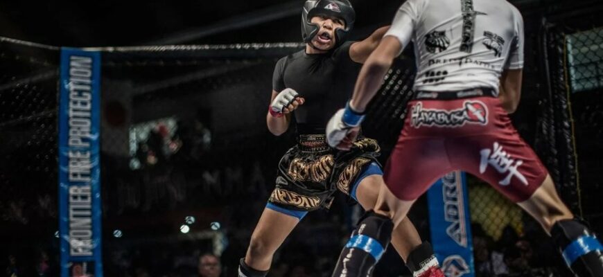 ММА: Что это такое и почему смешанные единоборства завоевали мир