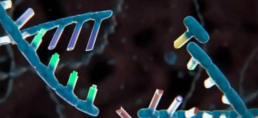 Что такое мутация: основные виды и их влияние на организм человека