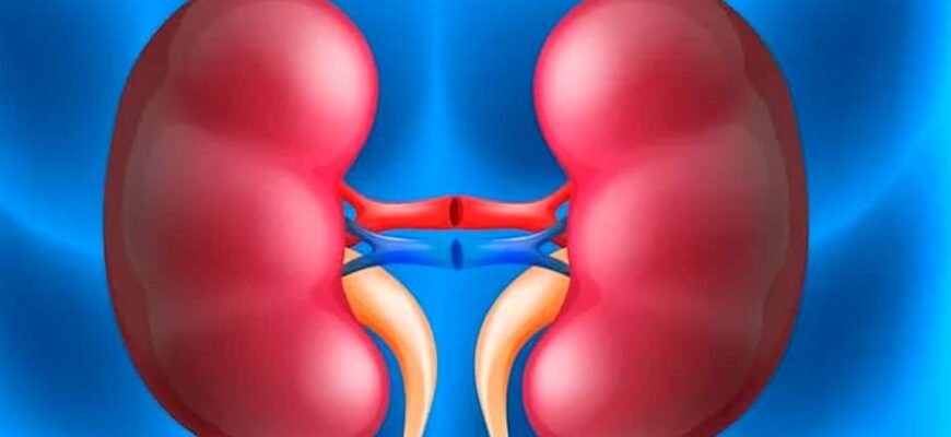 Причины, симптомы и лечение почечной недостаточности: все, что нужно знать