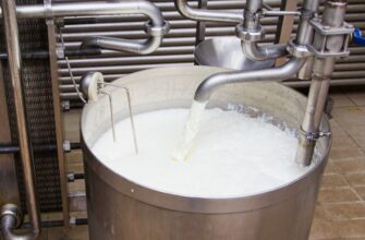 Что такое пастеризованное молоко: польза, технология и свойства