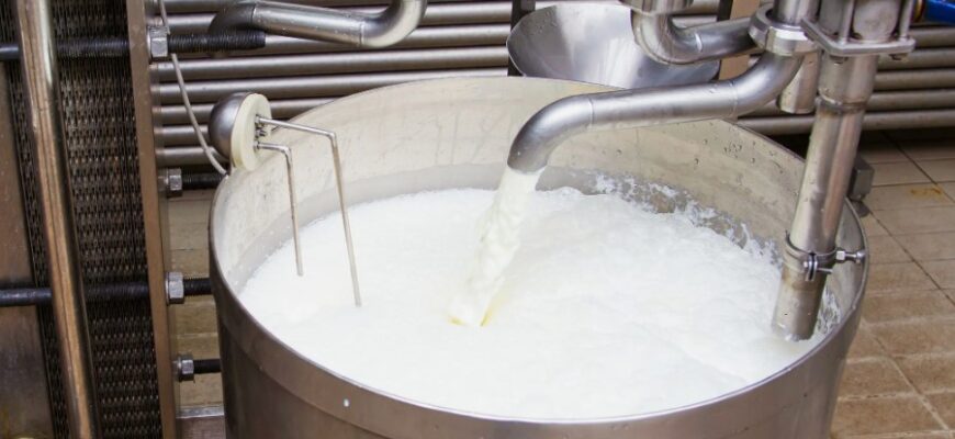 Что такое пастеризованное молоко: польза, технология и свойства