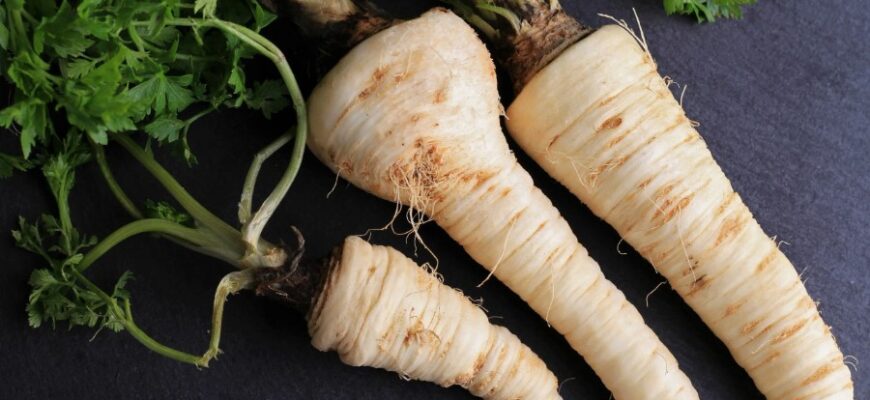 Пастернак: польза, свойства и применение в кулинарии и медицине