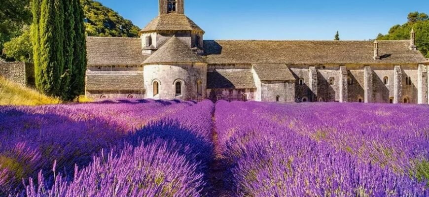 Прованс: особенности стиля и советы по созданию интерьера дома