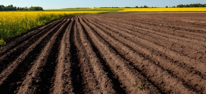 Всё о пашне: Определение, использование и значение в сельском хозяйстве