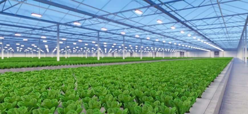 Что такое растениеводство: основы, методы и значение для человека