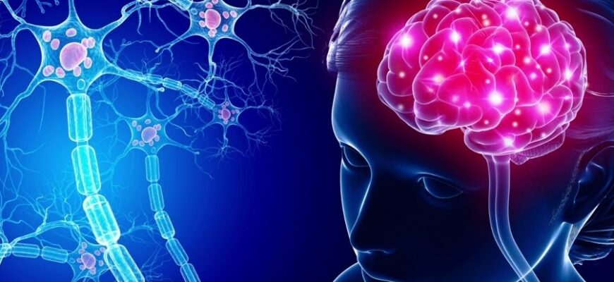 Что такое рассеянный склероз: причины, симптомы и методы диагностики