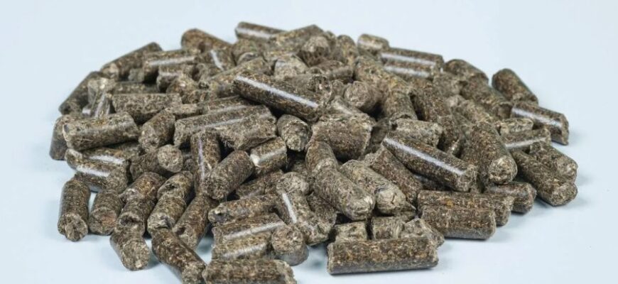 Что такое шрот: виды, польза и применение в сельском хозяйстве