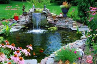 Создание искусственных водоёмов: виды, назначение и преимущества