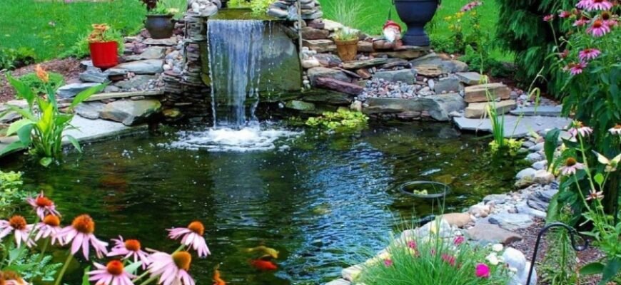 Создание искусственных водоёмов: виды, назначение и преимущества