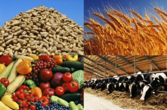 Что такое сельское хозяйство: основы и значимость для общества