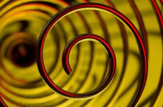 Что такое спираль: определение, виды и применение в жизни