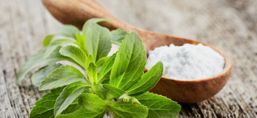 Стевия: Полезные свойства и применение натурального подсластителя