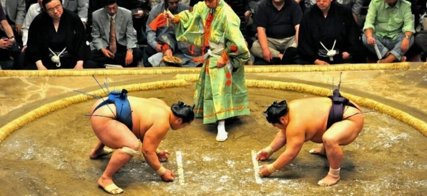 Что такое сумо: история, правила и традиции японской борьбы