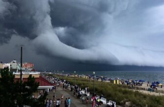 Что такое тайфун: причины возникновения и последствия стихийного бедствия