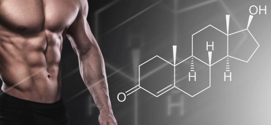 Советы по пониманию тестостерона: функции, нормы и влияние на организм