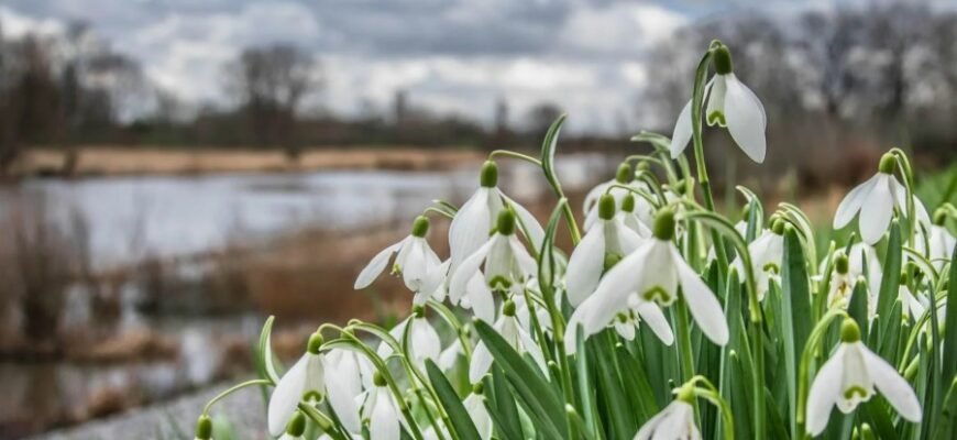 Весна: Пора Пробуждения Природы и Новых Начал — Узнайте Больше!