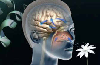 Что такое ощущение: раскрываем природу и значение восприятия