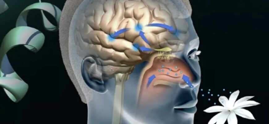 Что такое ощущение: раскрываем природу и значение восприятия