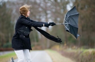 Что такое ветер: причины, виды и влияние на окружающую среду