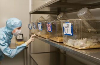 Виварий: как устроен лабораторный мир изучения живых организмов