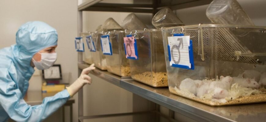 Виварий: как устроен лабораторный мир изучения живых организмов