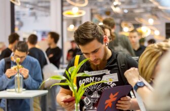 Що таке квота: докладне пояснення терміна та його значення для ринку