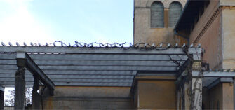 Що таке терми: історія, сучасне значення та використання в Україні