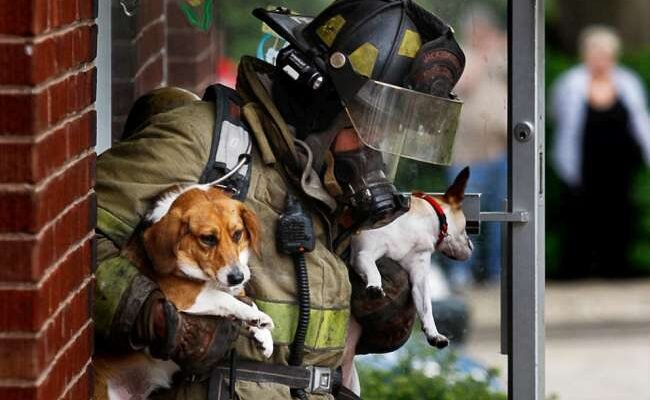 Людяність: розкриття поняття та значення для сучасного суспільства