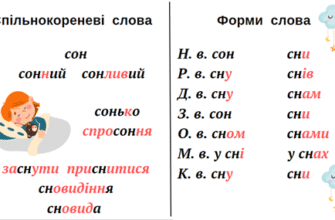 Що таке споріднені слова: визначення, приклади та особливості вживання
