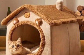 Лежаки для котів: як обрати ідеальне місце для солодкого сну улюбленця