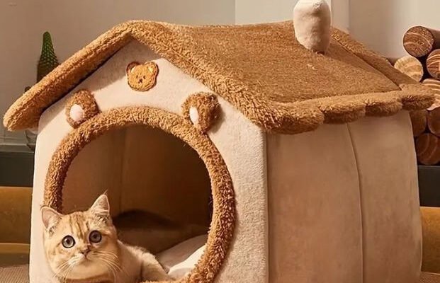 Лежаки для котів: як обрати ідеальне місце для солодкого сну улюбленця