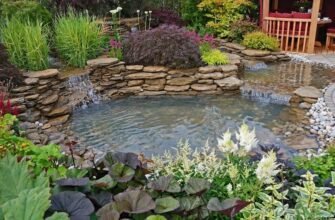 Всё для пруда: полный гид по оборудованию и материалам для создания идеального водоёма