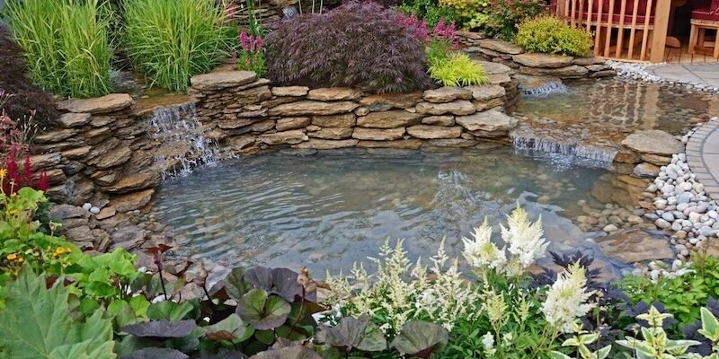 Всё для пруда: полный гид по оборудованию и материалам для создания идеального водоёма