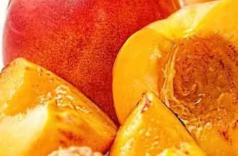 Агротехніка вирощування нектарину