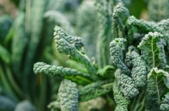 How to Take Kale Without Putting It in a Smoothie