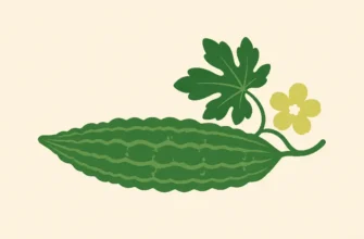 Bitter Melon vs Bitter Gourd vs Balsam Pear: One Plant?