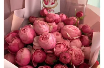 Як обрати піонові троянди для ніжного сучасного букета